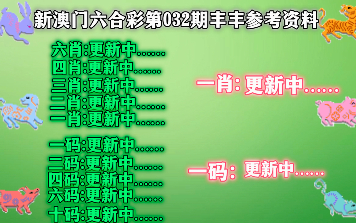 新澳门精准24码期期中特全年资料公开，全面解答、解释与落实